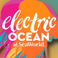 Electric Ocean — SeaWorld Orlando