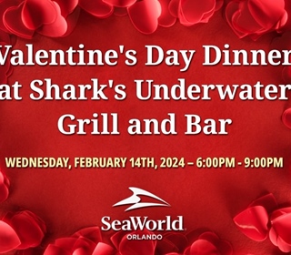 2024 Valentine's Day Dinner Menu at Shark's Underwater Grill and Bar
