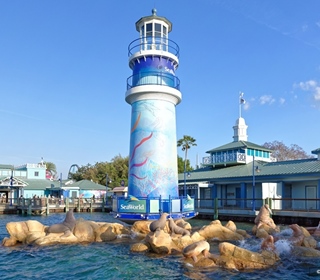 Free Admission to SeaWorld Orlando and Aquatica for Children 5 Years and Under