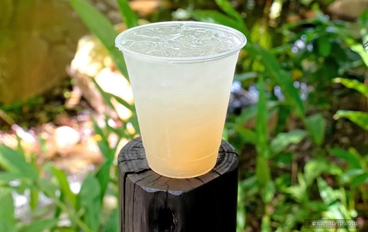 Drinkwallah's Coconut-Lychee Lemonade, Parrot Bay Cocnut Rum, Lychee, and Odwalla Lemonade.