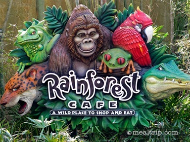 Rainforest Café at Disney's Animal Kingdom Reviews