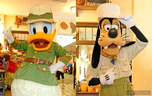 Safari Donald and Safari Goofy meet and greet guests during the Tusker House breakfast at Animal Kingdom. Many of the characters spend ample time with guests and pose for photos which you can take with your own camera. PhotoPass photographers are usually pretty close by as well, but they do not "hard sell" the service.
