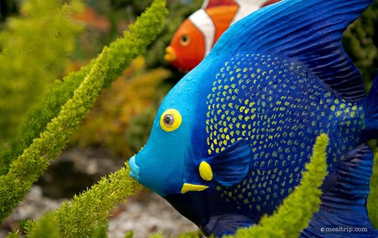 In front of the Terrace Garden Buffet, there's a great "garden" of ceramic fish that look great in photos!