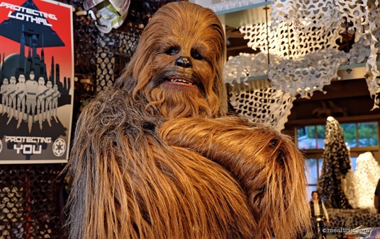 Look who stopped by for dinner, it's Chewbacca!