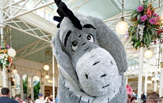 Contrary to their opposing personalities, Eeyore and Tigger are good friends. Interestingly — while Tigger's do not like thistles, they are one of Eeyore's favorite foods.