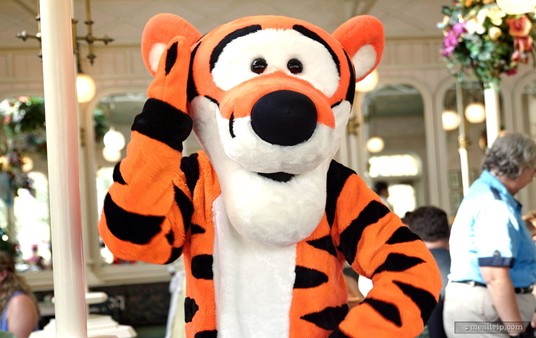 Head scratching, is a sign that Tigger is trying to figure something out.
