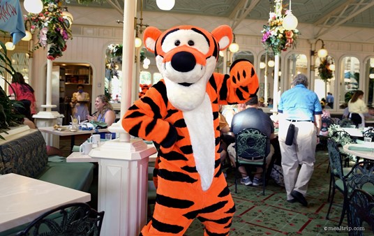 Tigger's can do 10 poses – in four seconds – so you better be ready with your camera or phone, if you want to catch them all.