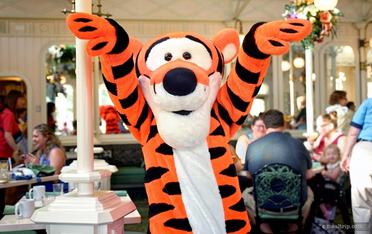 Tigger is getting ready to do the Crane Kick from Karate Kid – because he can.
