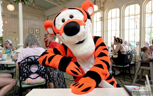 Many people think that Tigger just bounces around all day, but he's also a really good conversationalist and a great listener.