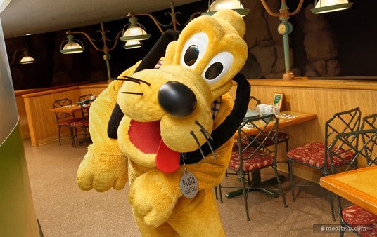 Hey Pluto! I always love to see Pluto at any character meal... he usually moves around a lot and likes to pose for the camera.