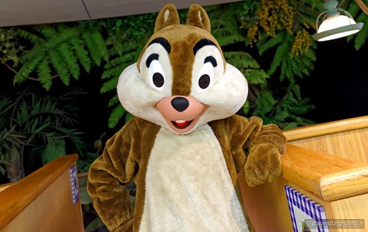 Chip is one of the characters you will meet at the Garden Grill Restaurant breakfast at Epcot.