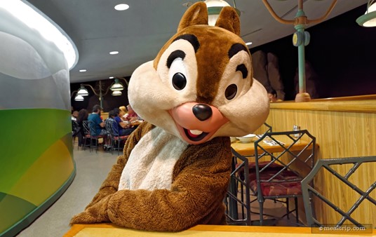 Chip is (obviously) one of the characters you will meet at "Chip n' Dales" Harvest Feast at the Garden Grill Restaurant.