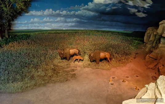 There are several great views of the "Living with the Land" attraction from the Garden Grill Restaurant. This is the "Buffalo and Great Plains" scene.