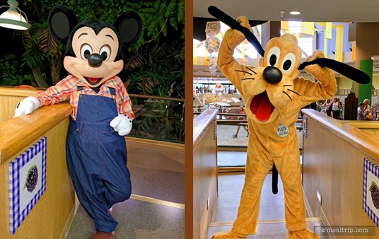 Mickey (in his farmers outfit) and Pluto make their rounds to all the tables at Epcot's Garden Grill Restaurant, where you will have plenty of time to take photos and interact with the characters.