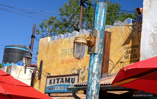 Yes, I took a photo of a light pole. That's a cool looking light cover though! A far as I can tell, it's a one-of-a-kind. It's that kind of detailing that make looking around the Harambe Market so much fun.