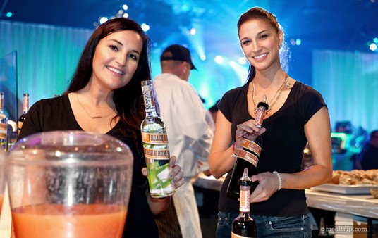 Many of the "spirits" could be sampled neat, or in predetermined cocktails at the various beverage stations throughout the room. Wine, beer and tequilas were present at the 2015 Rockin' Burger Block Party as were several "flavored" Vodkas.