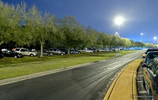 One last note... Leave plenty of time for parking. New Year's Eve is one of the busiest days for Epcot. This photo shows a row of cars, parked in the grass, at the very back of all the other concrete parking. Did you guys park in "journey" or "imagination"... no, we're parked in "the woods".