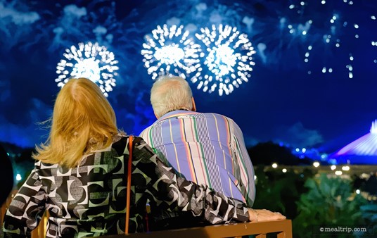 The fourth floor landing deck is a very unique place to watch the Wishes fireworks.