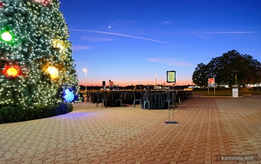 New Year's Eve outside the Contemporary Resort.