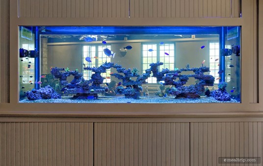 There's a 600 gallon fish tank in the wall as you enter the Lakeside Grill... and I have to say... it's pretty cool!