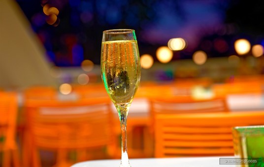 Hello Bubbly! It wasn't that long ago — that the Magic Kingdom was a "dry" park. So for me, this still feels like a special treat. Pictured here is a flute of "The Lady of Spain Brut" (a Spanish sparkling Cava).