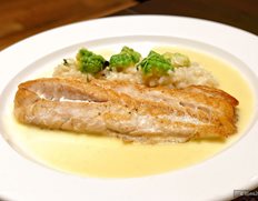 Plated Entree — Striped Bass Limone