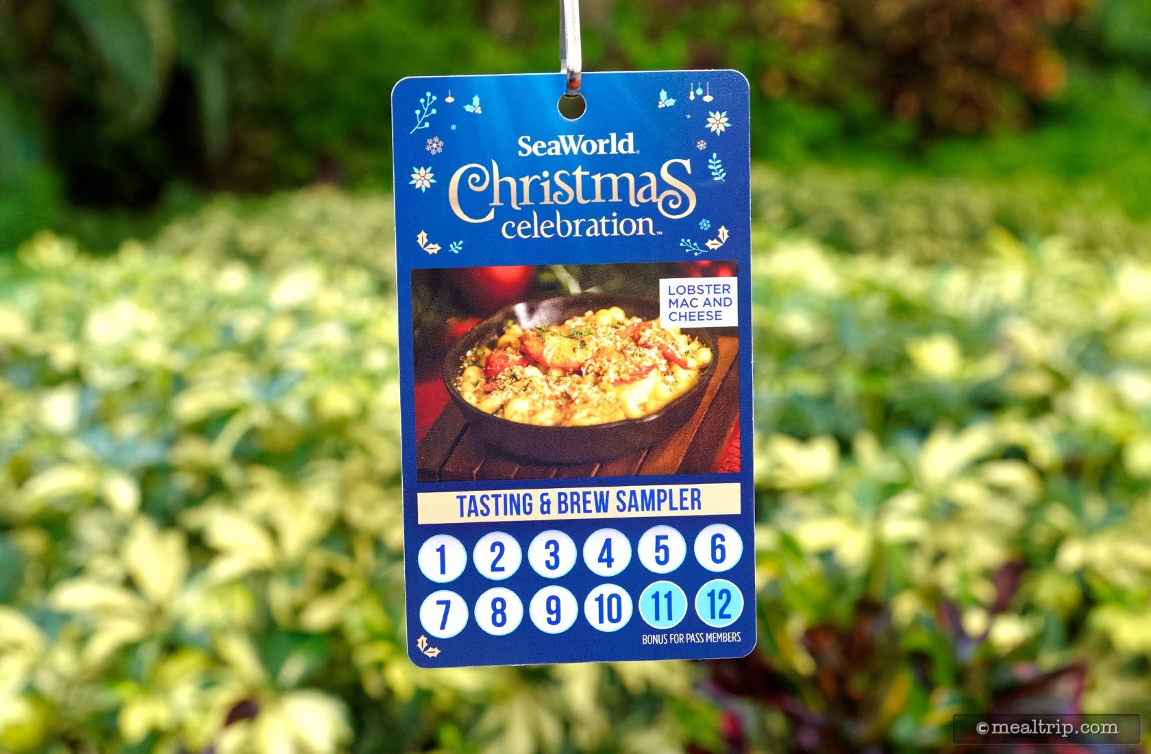 Sampler Lanyard For Seaworld's Christmas Celebration 2021