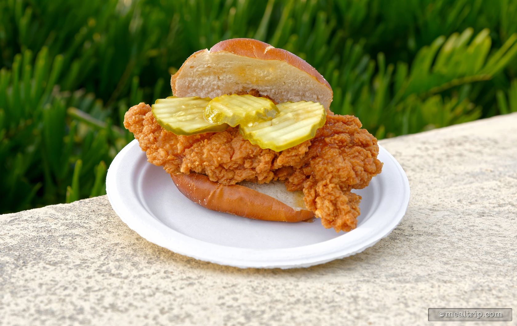 Hot Chicken Slider