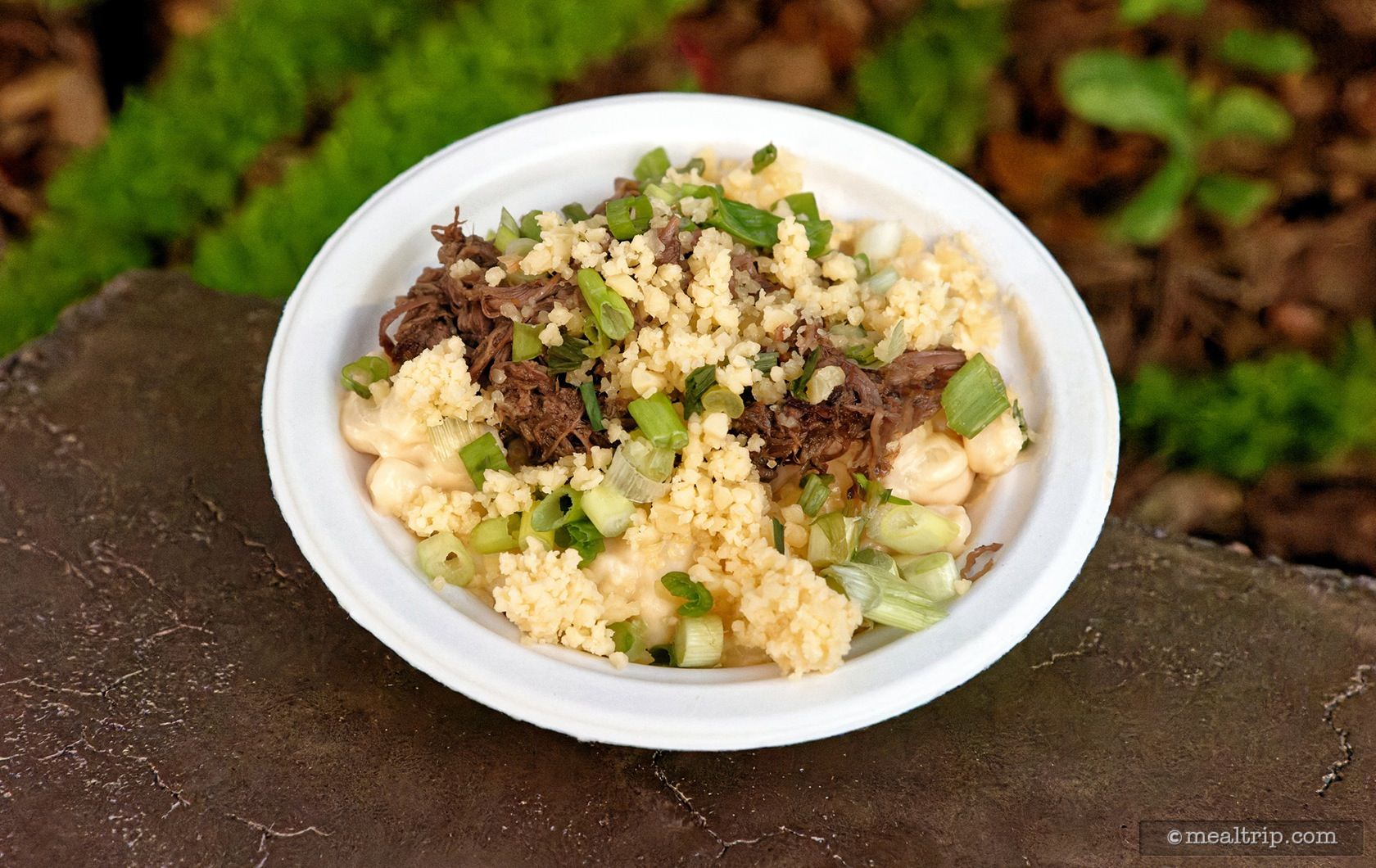 Braised Short Ribs And Smoked Gouda Mac And Cheese