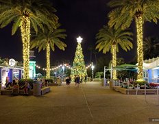 The Christmas Tree Near the Main Entrance of SeaWorld, Orlando