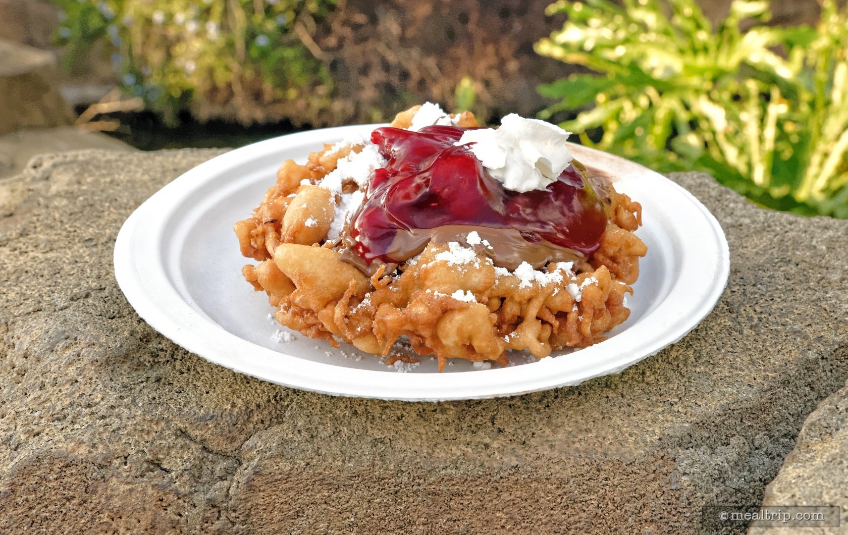 Festival Funnel Cake from the All-American Market Booth