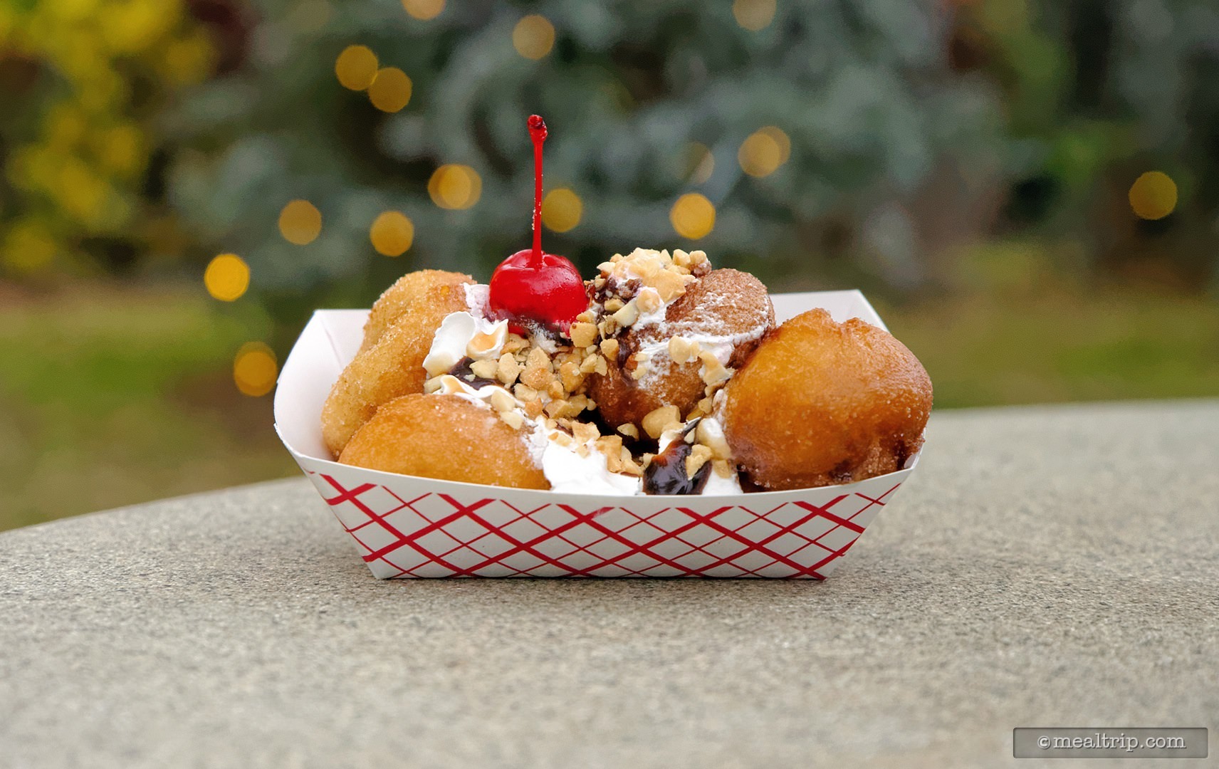 SeaWorld Christmas Celebration Festival Food Walkaround