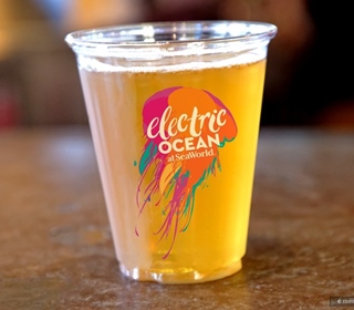 Free Beer Returns to SeaWorld (During the First Half of Electric Ocean 2022 Anyway)