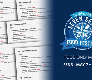 Food Only Menu Items for the 2023 Seven Seas Food Festival at SeaWorld, Orlando