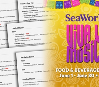 Food & Beverage Menu for the 2024 Viva La Música at SeaWorld, Orlando