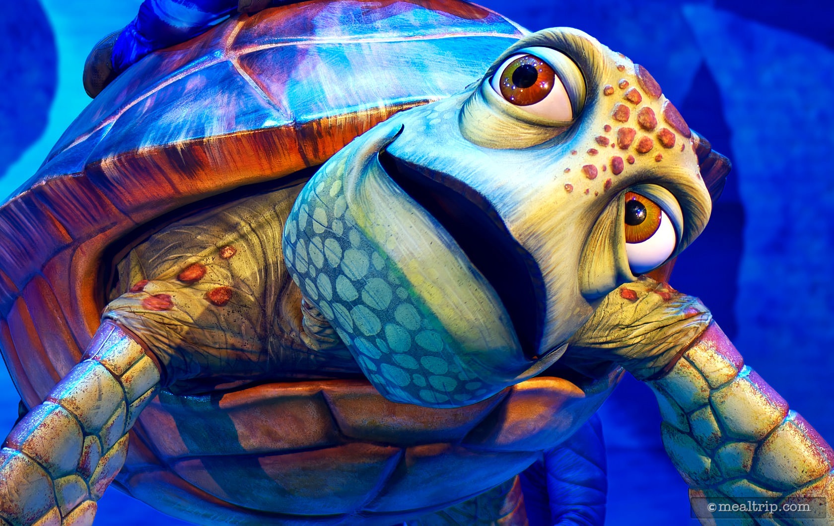 The Late Summer 2025 Walt Disney World Annual Passholder Magnet is Crush from Finding Nemo