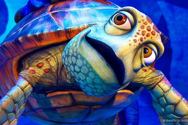 The Late Summer 2025 Walt Disney World Annual Passholder Magnet is Crush from Finding Nemo